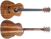 COLE CLARK Studio Series AN1EC All Blackwood Acoustic/Electric Guitar - ALL SOLID in GIG BAG 