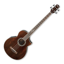 Ibanez Acoustic/Electric Bass - EWB20NT 