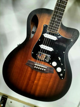 Cole Clark TL1RAN2EC - RRE Thinline True Hybrid in Case 