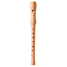Hohner 9504 Soprano 2 Piece Recorder - Pearwood