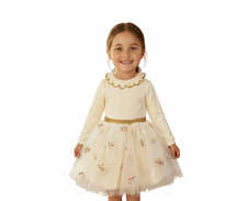 Selena White /Gold long Sleeve Embroidered Collar Top