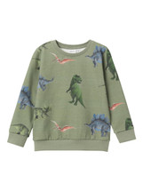 Nodino Dinosaur Sweatshirt