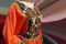 pashtun nikah event dresses frocks wholesale online