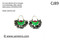 afghan nomad style girls green earnings
