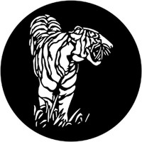 Tiger (Rosco)