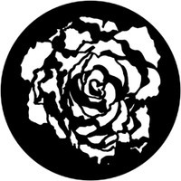 Blooming Rose (Rosco)