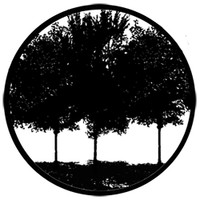 Tree Silhouette 1 (Rosco)
