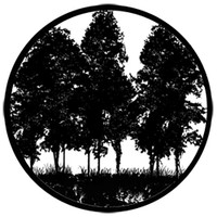 Tree Silhouette 2 (Rosco)