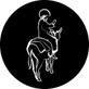 Rosco Jesus on donkey steel lighting gobo