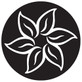 Rosco Flower  steel lighting gobo