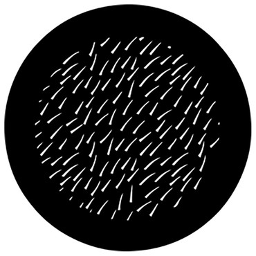 Rosco Thorn Fir  Steel Gobo