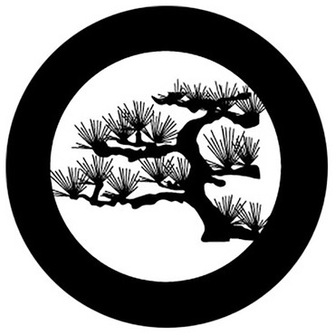Rosco Desert Pine Steel Gobo