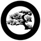 Rosco Desert Pine Steel Gobo