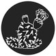 Rosco Prickly Pear Steel Gobo
