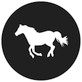 Rosco  Running Horse Steel Gobo