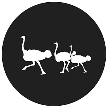 Rosco Ostrich Steel Gobo