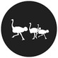 Rosco Ostrich Steel Gobo