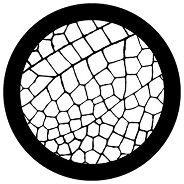 Rosco Dragonfly Steel Gobo