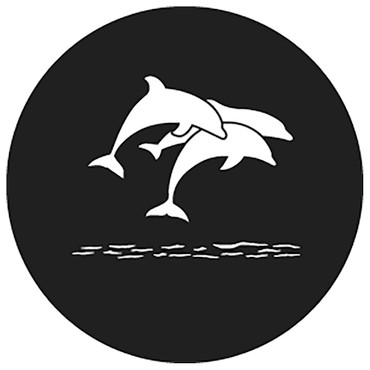 Rosco Dolphins Steel Gobo