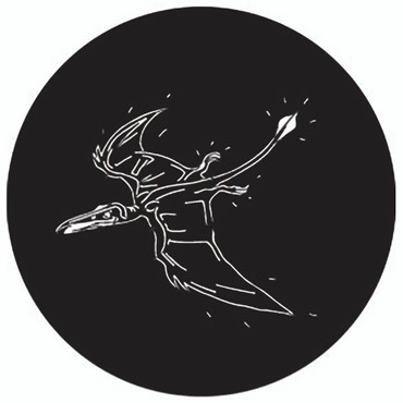 Rosco Dino Bird Steel Gobo
