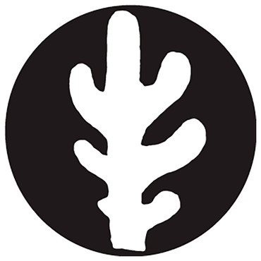 Rosco Tucci Cactus 1 Steel Gobo