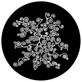 Rosco Klimt Vines Steel Gobo