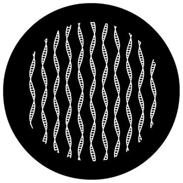 Rosco Helices  Steel Gobo