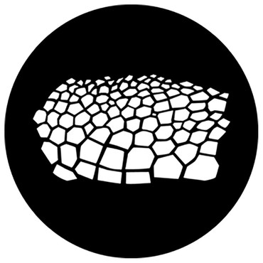 Turtle Skin (Rosco)
