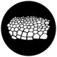 Turtle Skin (Rosco)

