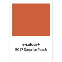 Rosco - e-colour+ E017 Surprise Peach