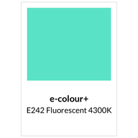 Rosco - e-colour+ E242 Fluorescent 4300K
