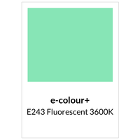 Rosco - e-colour+ E243 Fluorescent 3600K