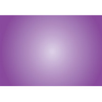 LEE Filters 216 A strong diffusion used for soft light effects