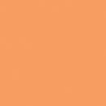 Rosco - Gamcolor® G1549 1/2 Orange CTO
