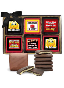 I'm Sorry Cookie Talk Chocolate Graham 12pc Box