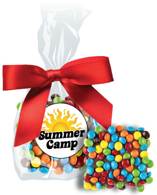 Summer Camp Chocolate Grahams w/Mini M&Ms
