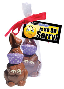 Quarantine I'm Sorry Chocolate Bunny
