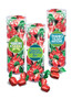 Employee App Strawberry Soft-filled Hard Candy - Tall Canister