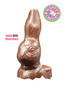  Easter Bunny Solid Milk Chocolate - Head Close-up