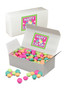 Easter Chocolate Mint Candies - Small Box