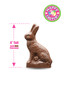 Easter Bunny Solid Milk Chocolate