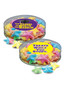Back To School Starfish Gummy Candy - flat canister