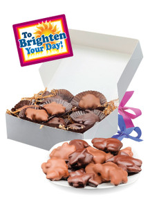 Brighten Your Day Chocolate Turtles - Large Box