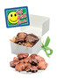 Get Well Chocolate Turtles - Box