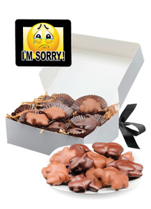 I'm Sorry Chocolate Turtles - Large Box