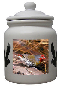 Finch Ceramic Color Cookie Jar