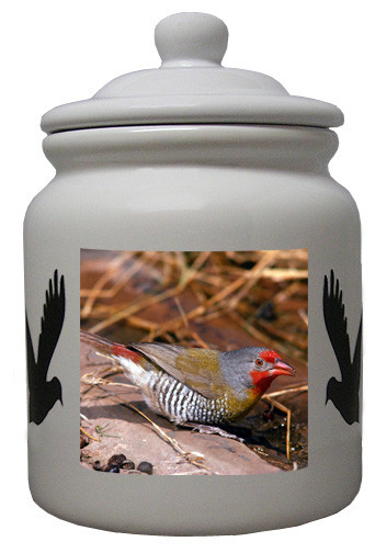 Finch Ceramic Color Cookie Jar