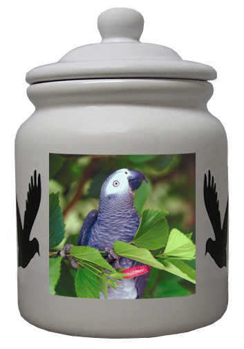 African Grey Parrot Ceramic Color Cookie Jar