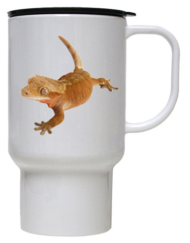 gecko travel container
