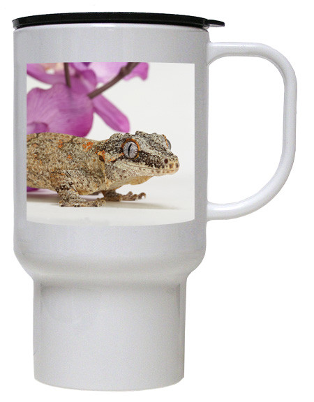 gecko travel container